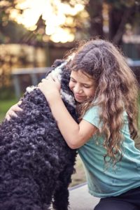Honey Blue backyard cricket in Gordon