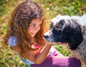 Honey Blue playing in the sun in Gordon