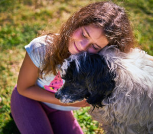 Honey Blue playing in the sun in Gordon