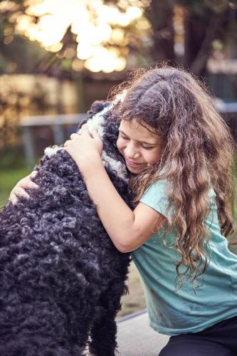 Honey Blue backyard cricket in Gordon