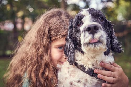 Honey Blue backyard cricket in Gordon