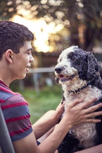 Honey Blue backyard cricket in Gordon