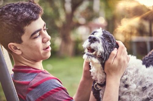 Honey Blue backyard cricket in Gordon